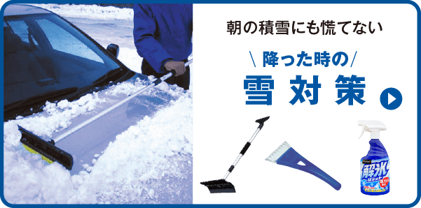 朝の積雪にも慌てない　降ったときの雪対策